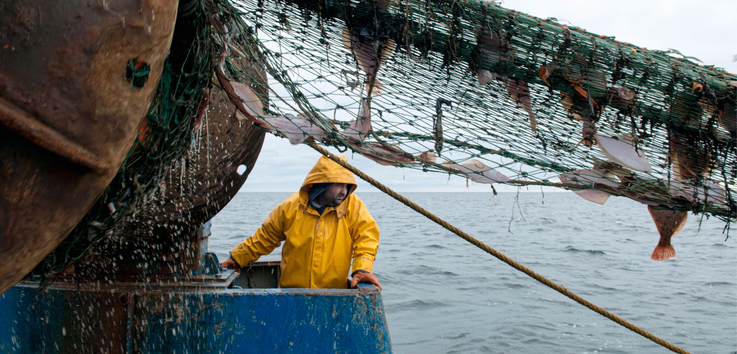 Customer success story